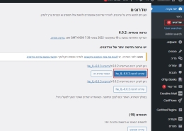 עדכון וורדפרס